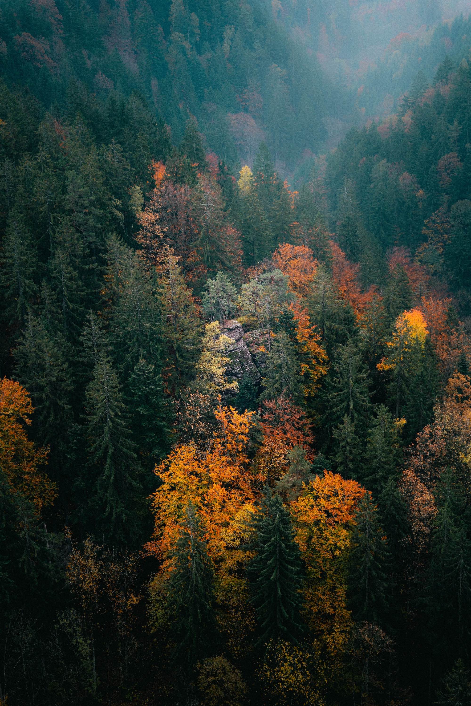 Photo Landscape 1